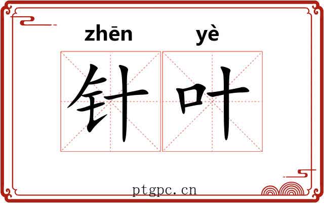 针叶