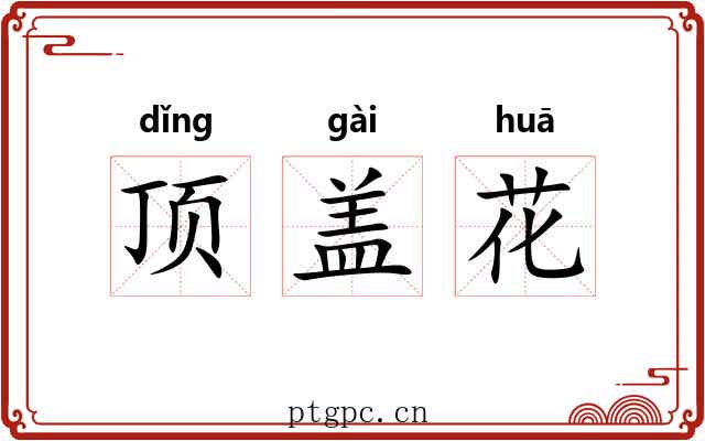 顶盖花 顶盖花