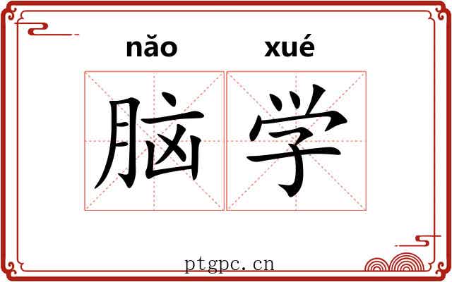 脑学 脑学