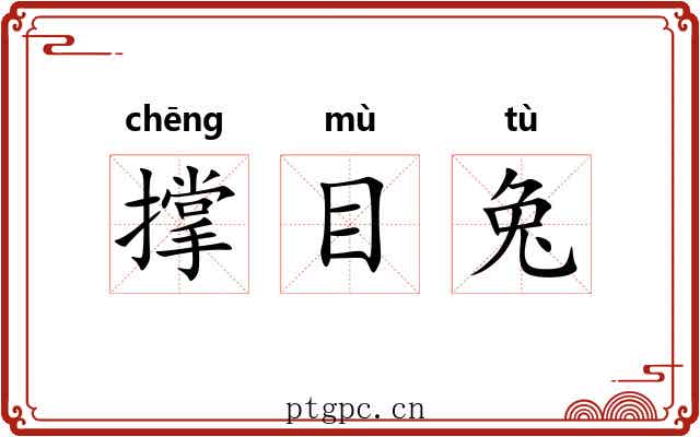 撑目兔 撑目兔
