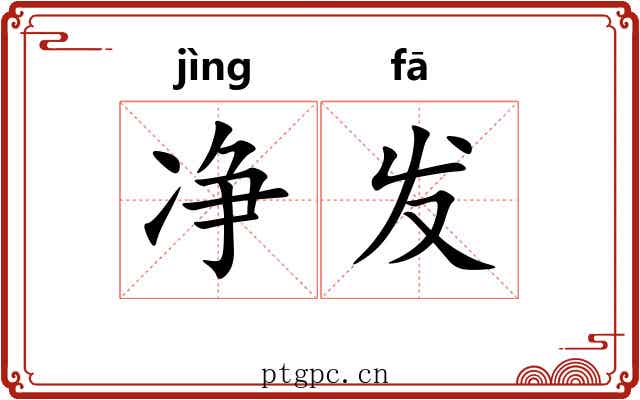 净发