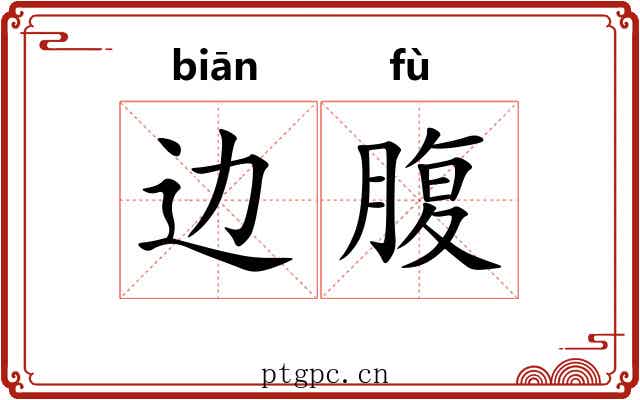 边腹