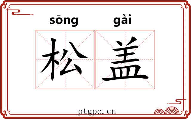 松盖 松盖