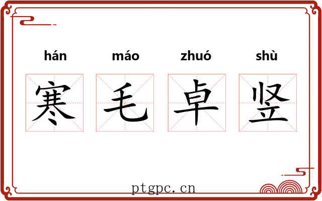 寒毛卓竖 寒毛卓竖