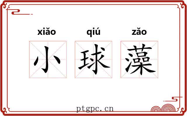 小球藻