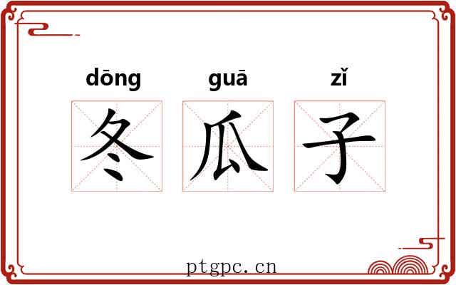 冬瓜子 冬瓜子