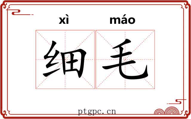细毛