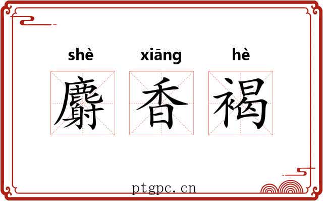 麝香褐
