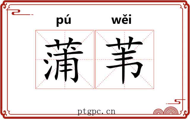 蒲苇