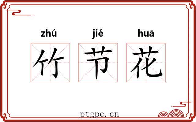 竹节花 竹节花