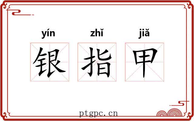 银指甲