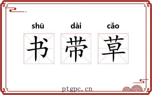 书带草 书带草