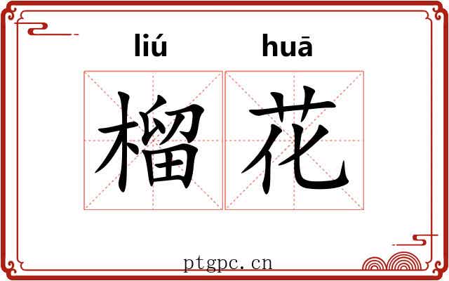 榴花 榴花