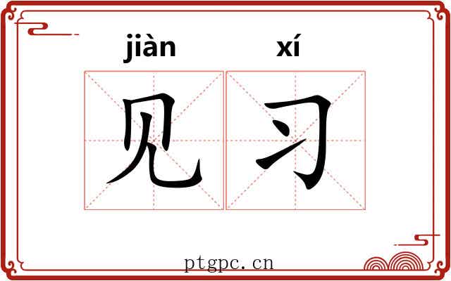 见习