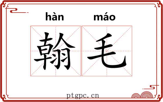 翰毛