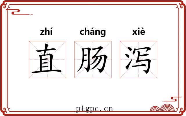 直肠泻