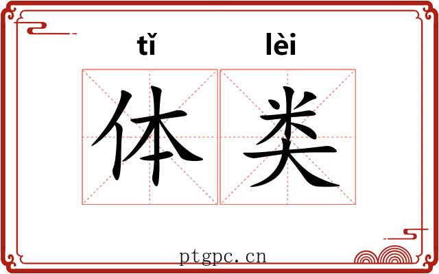 体类