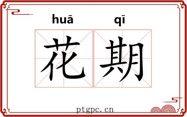 花期