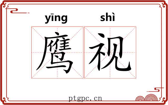 鹰视