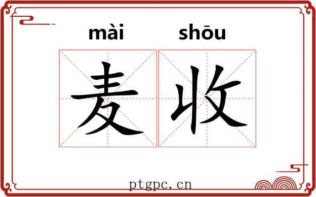 麦收 麦收