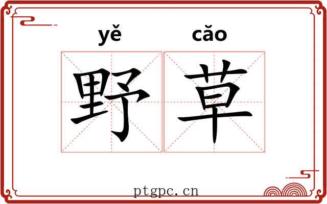 野草 野草
