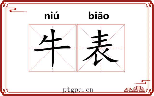 牛表