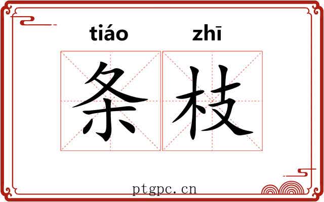 条枝 条枝