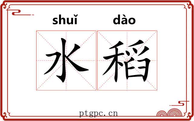 水稻