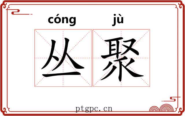 丛聚
