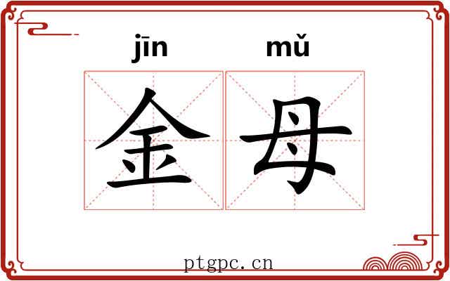 金母 金母