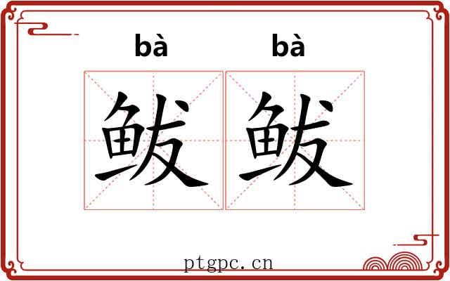 鲅鲅 鲅鲅