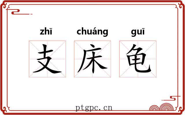 支床龟