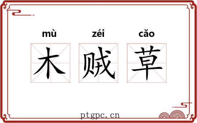 木贼草