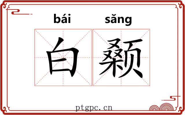 白颡