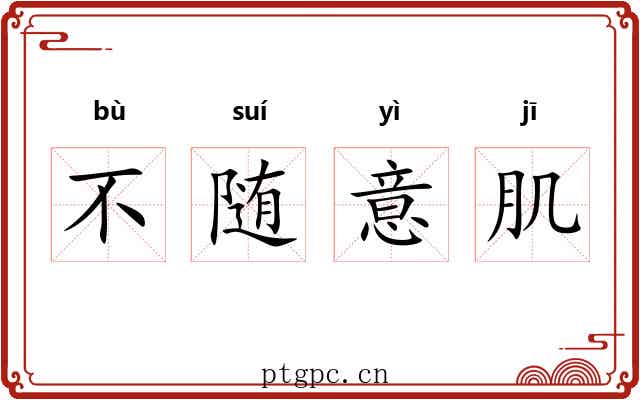 不随意肌