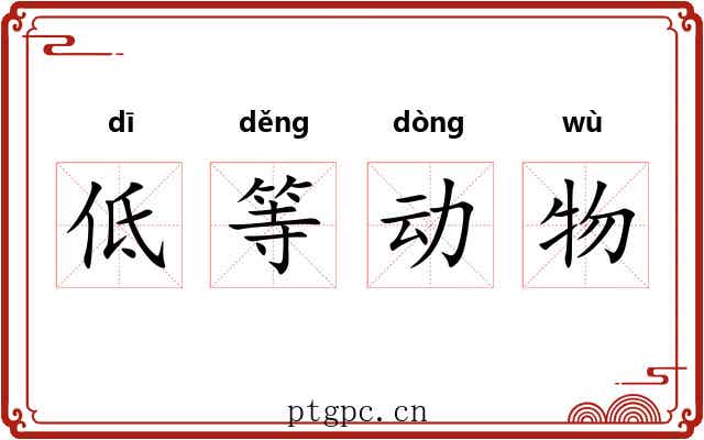 低等动物
