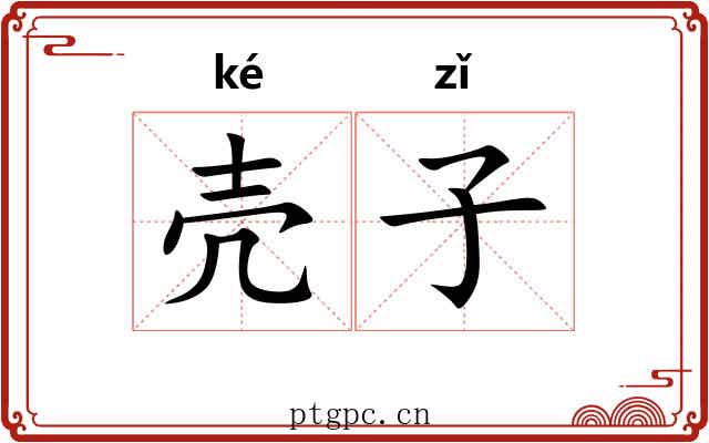 壳子