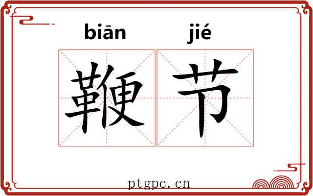 鞭节