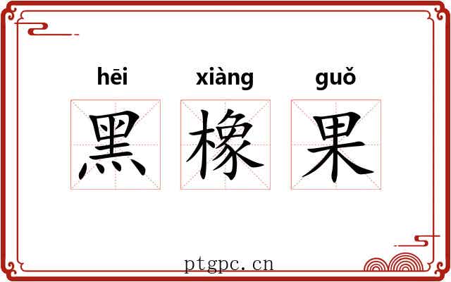 黑橡果