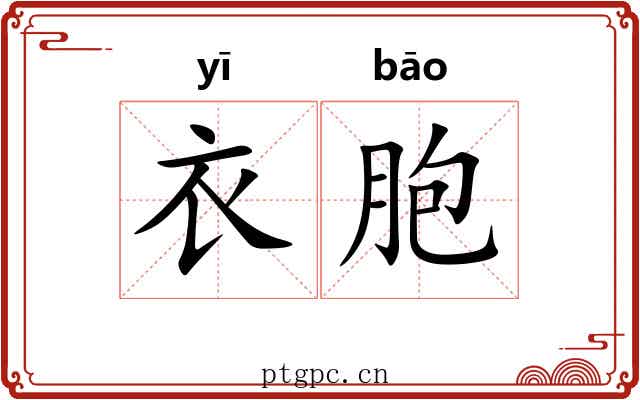 衣胞