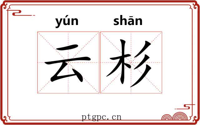 云杉