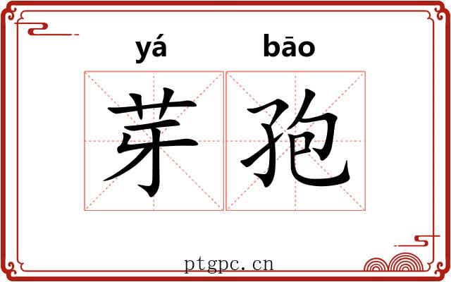 芽孢 芽孢