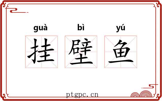 挂壁鱼 挂壁鱼
