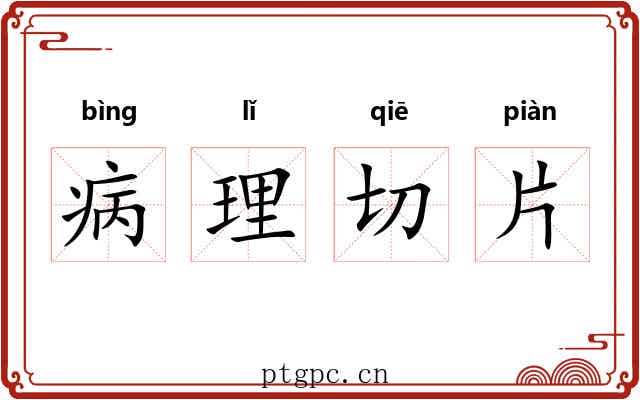 病理切片