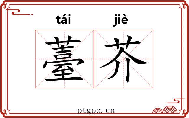 薹芥
