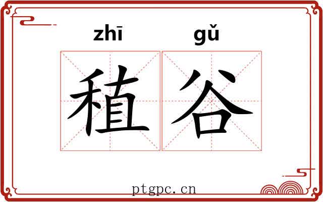 稙谷