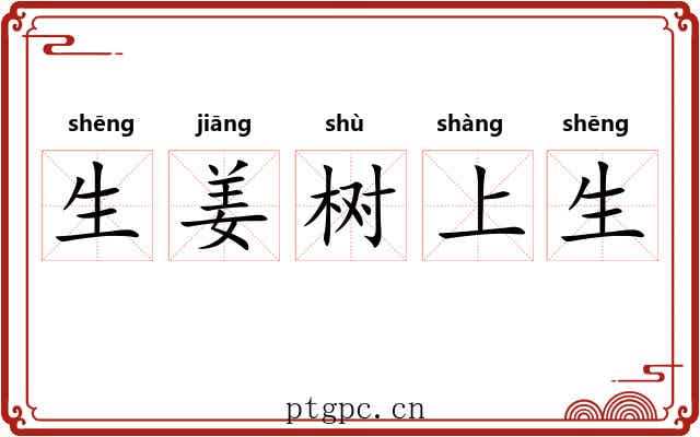 生姜树上生 生姜树上生