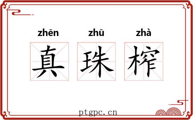 真珠榨
