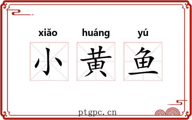 小黄鱼
