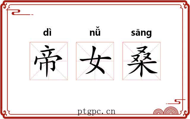 帝女桑